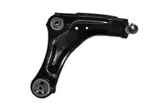 SALINCAK SAG LATITUDE 545000008R
